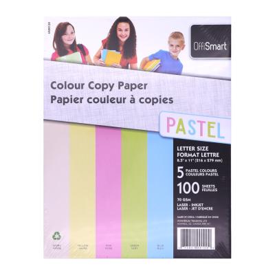OFFISMART Pastel Multipurpose Paper, Letter Size, 5 Colours, 100 Pack