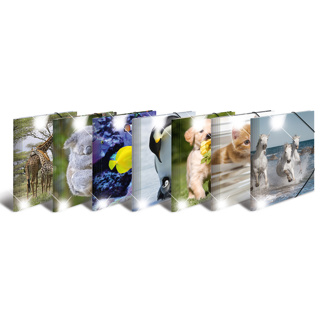 HERMA Elasticated Poly Folder A4 Glossy Animals (10 pcs)