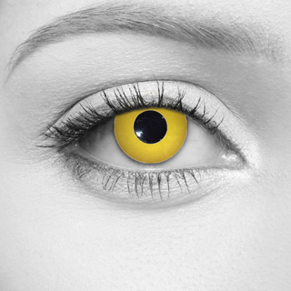 LOOX Zombie Yellow Contact Lenses