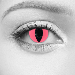 LOOX Pink Cat Contact Lenses