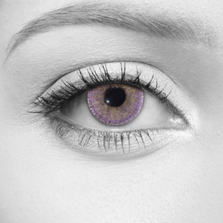 LOOX 3 Tone Violet Contact Lenses