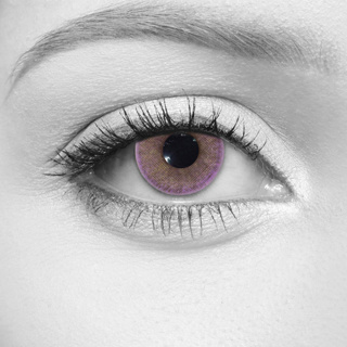 LOOX 2 Tone Violet Contact Lenses