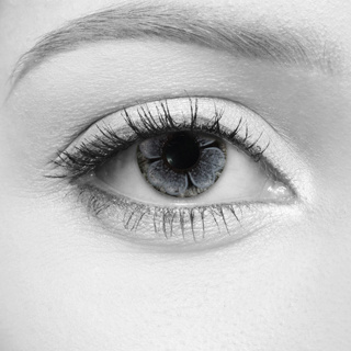 LOOX Bloom Grey Contact Lens