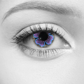 LOOX Bloom Violet Contact Lens
