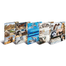 HERMA Elasticated Cardboard Folder A4 Animals (10 pcs)