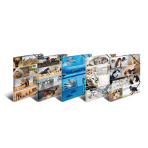 HERMA Elasticated Cardboard Folder A3 Animals (10 pcs)
