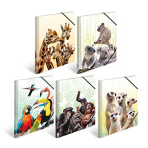 HERMA Elasticated Poly Folders A4 Exotic Animals (10 pcs)