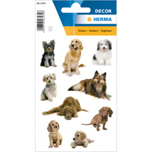 HERMA DÉCOR Stickers Dog Photos