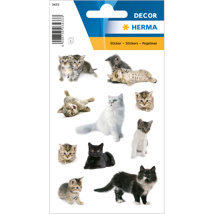 HERMA DÉCOR Stickers Cat Photos